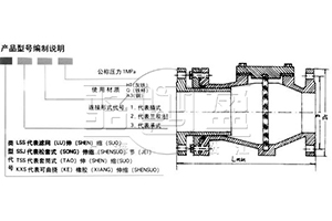 SSLW濾網(wǎng)型伸縮器